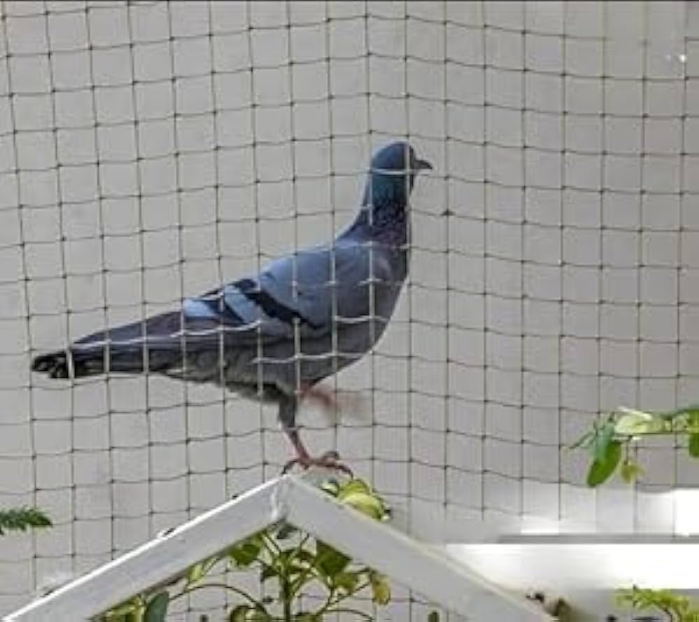 Anti-Pigeon Net